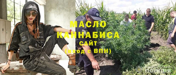 Альфа ПВП Аркадак
