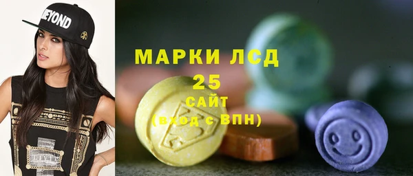 ГАЛЛЮЦИНОГЕННЫЕ ГРИБЫ Арсеньев
