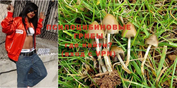 Альфа ПВП Аркадак