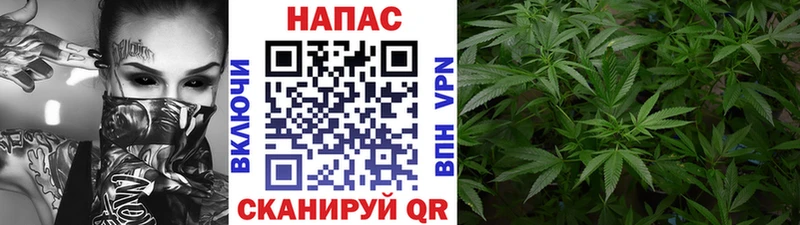 МАРИХУАНА White Widow  сайты даркнета телеграм  Ядрин  наркошоп 